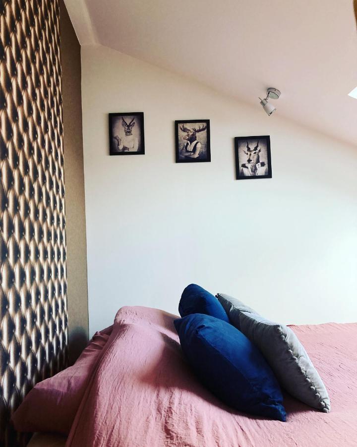 Le Carrosse, La Diligence, Centre Saint Jean De Losne Tarif 2Pers 1 Chambre, Tarif 4 Pers 2 Chambres Kültér fotó